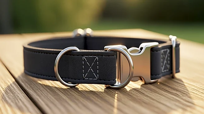 The Escape-Proof Solution: Why the Martingale is the Safest Upgrade for Your Dog’s Walk