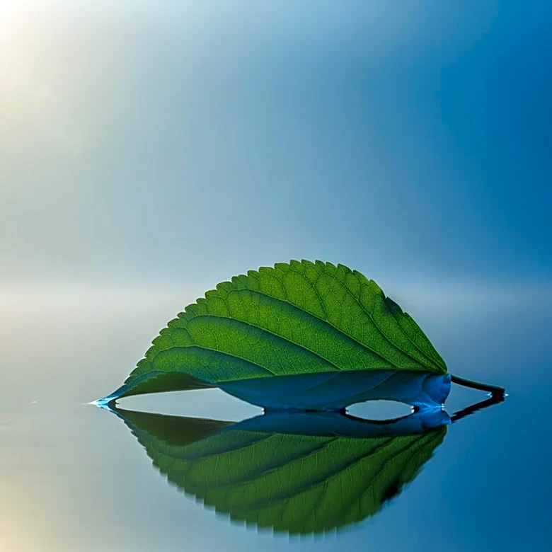 Net-Zero Emissions: The Global Race to Stop Climate Change