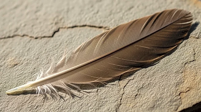 Feathered Giants: What Ancient Fossils Tell Us About Dinosaur Evolution