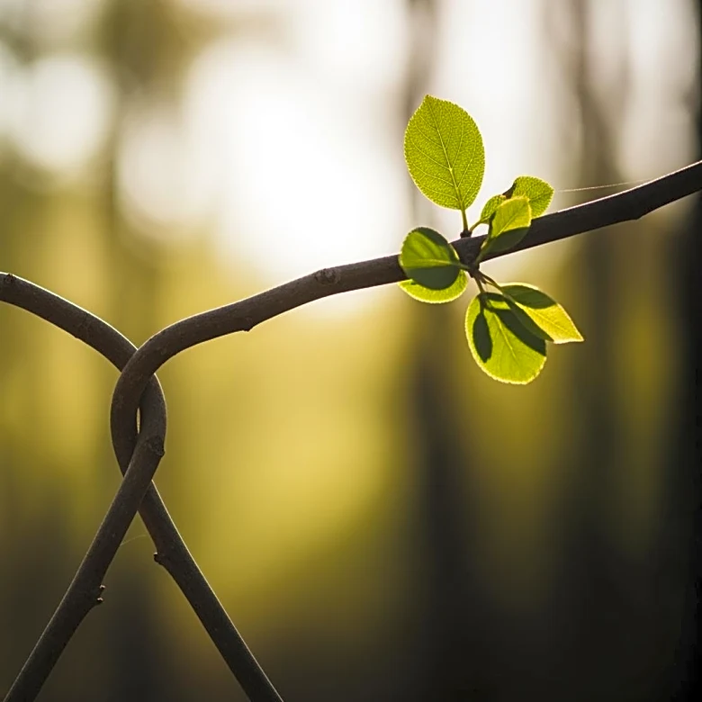 Safety in Numbers: Why Your Brain Craves Others the Moment Stress Hits