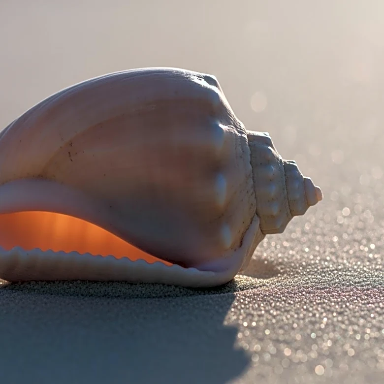 It’s More Than Just Avoiding a Burn: Understanding the Science of UV Defense