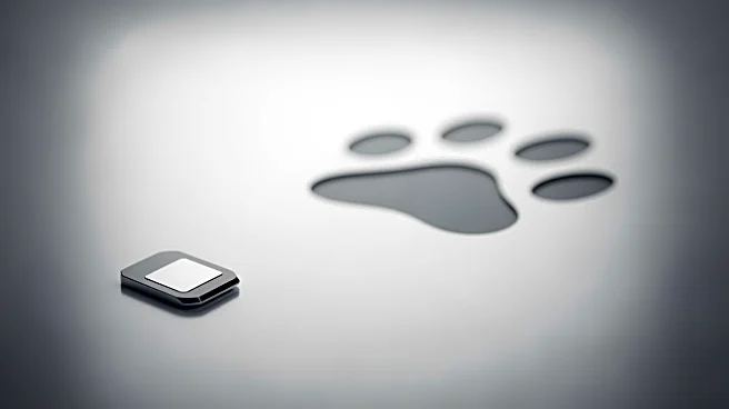 Why Every Pet Owner Needs a Microchip: The Painless 11mm Device That Provides Permanent Identification