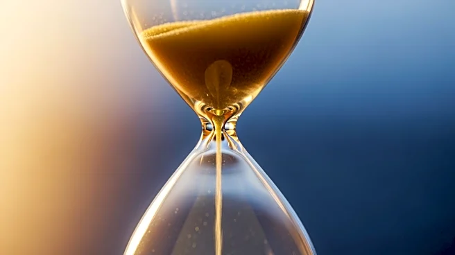 The Librarian of the Mind: How Your Hippocampus Decides Which Memories Are Worth Keeping