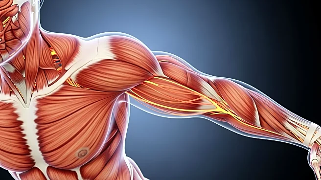 From Chest to Core: Why the Push-Up Is the Ultimate Total-Body Exercise for Strength and Stability