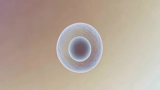 Beyond the Chalazion: Understanding the Rare and Aggressive Nature of Sebaceous Carcinoma