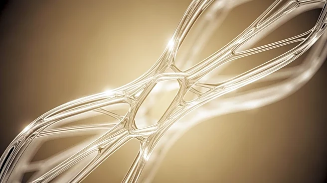 The Biological Rubber Band: How Elastin Allows Your Organs and Skin to Snap Back into Shape