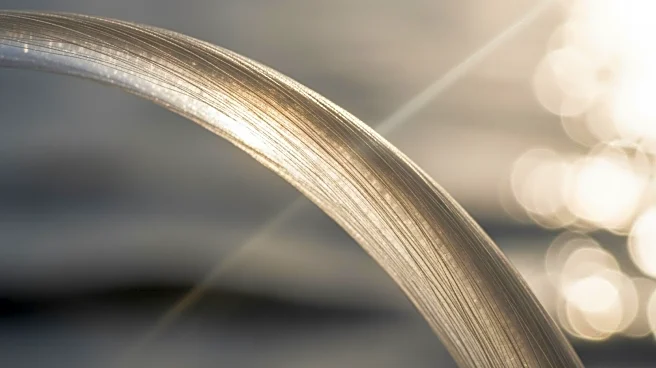 The Protein That Protects Your Skin and Hair