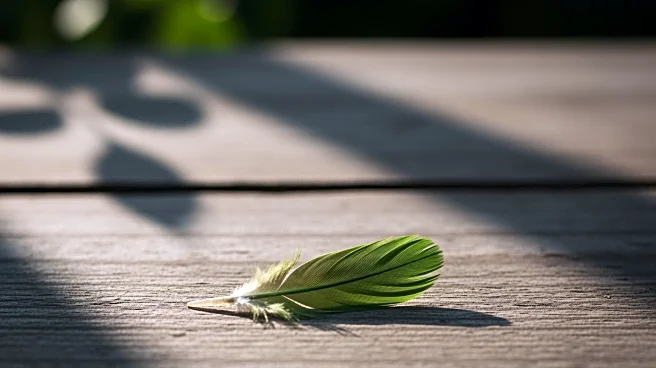 On This Day: Carolina Parakeet Goes Extinct (1918)