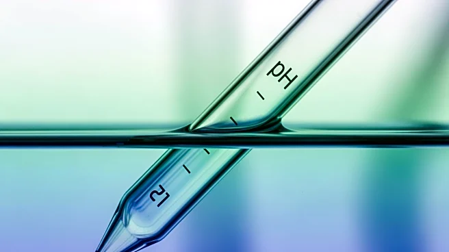 From Digestive Enzymes to the Precision of Blood Chemistry