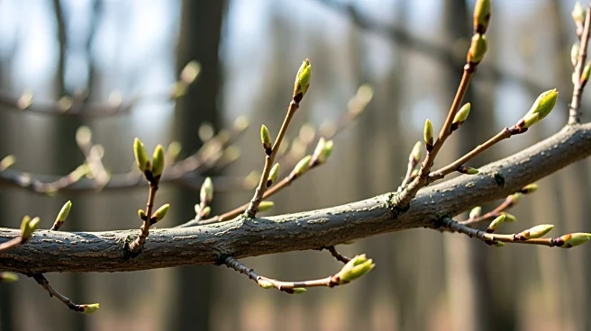 The Survival Strategy of the Mind: How Evolutionary Adaptations Dictate Our Daily Social Behaviors