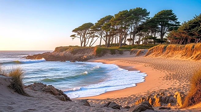 The South-Facing Secret: Why Westerly’s Unique Geography Makes It Rhode Island’s Surfing Capital