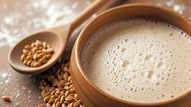 Beyond the Tang: The Molecular Science That Makes Sourdough More Nutritious Than White Bread