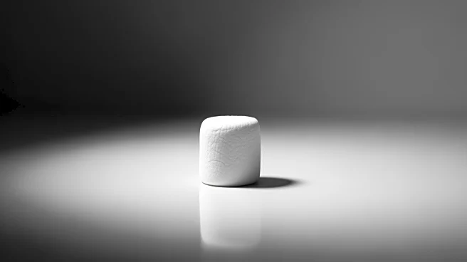 The Marshmallow Test: What a Sweet Choice Revealed About Self-Control