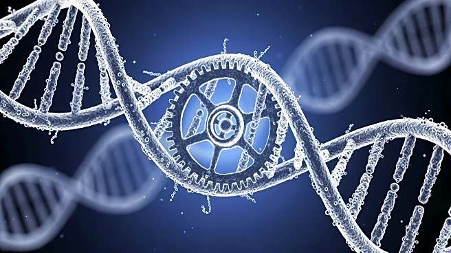The 24-Hour Loop: Why Your DNA Contains a Biological Grandfather Clock