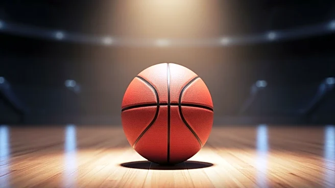 Talent, Turbulence, and Triumph: The Career of Metta Sandiford-Artest