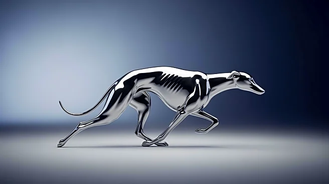 The Last Lap: Why Only Two Greyhound Tracks Remain in the Entire United States