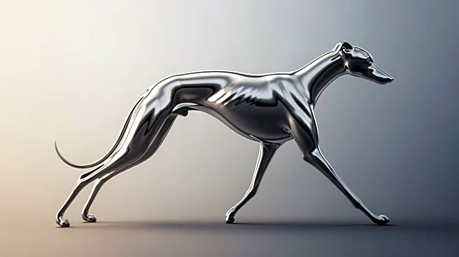 From Noble Hunts to Neon Lights: The Invention That Turned Greyhound Racing Into a Global Sensation