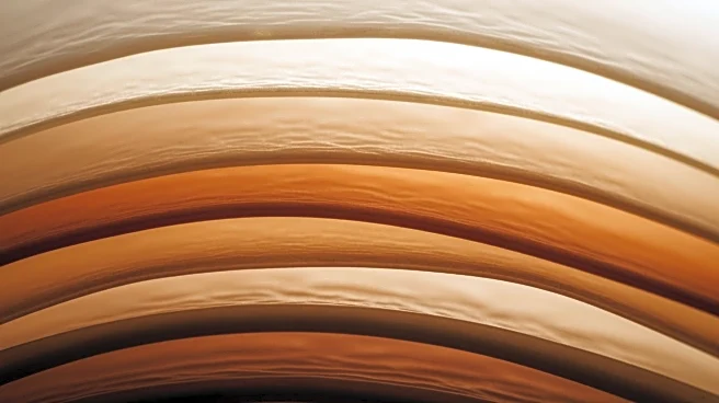 How the Epidermis Develops and Changes Over Time