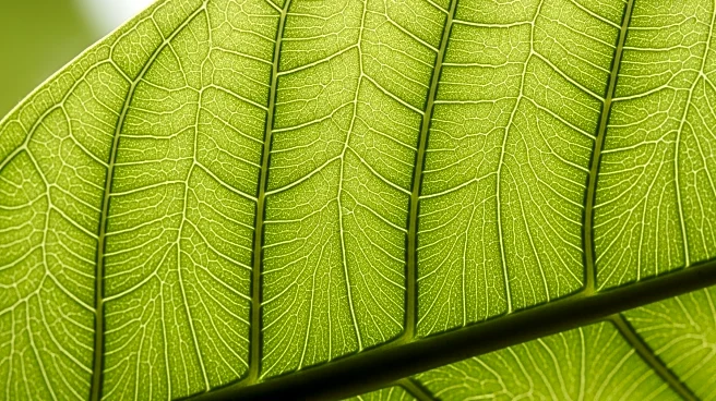 How the Epidermis Protects Your Body