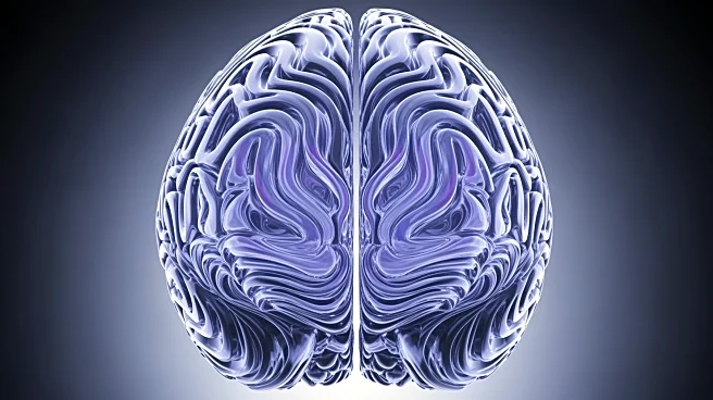 What Makes the Cerebrum So Complex?