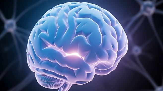 The Imposter in the Mirror: Why Frontal Lobe Disorders Can Make You Lose Your "Self"