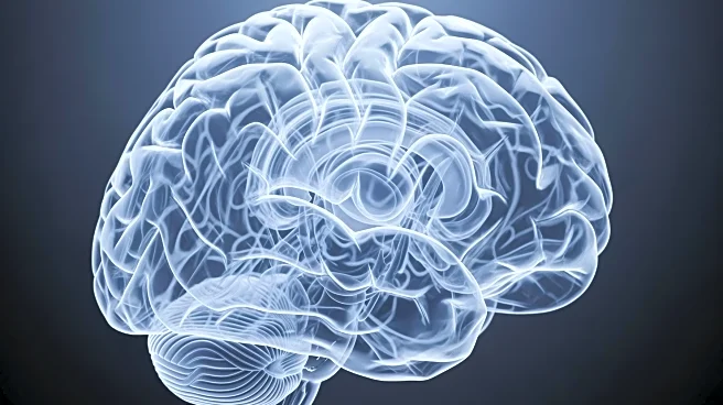 The "Executive Suite" of the Brain: Mapping the Frontal Cortex from Movement to Moral Reasoning