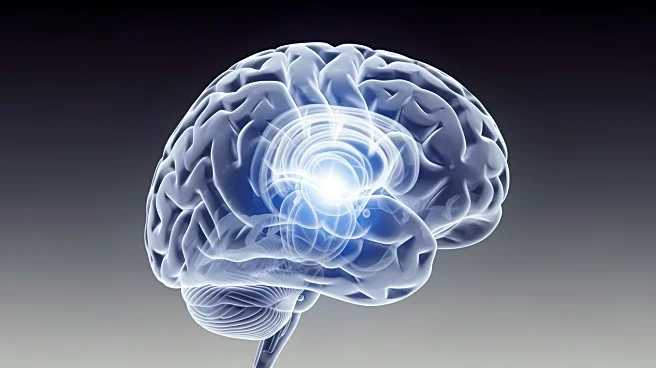 The Human Command Center: Why Your Frontal Lobe is the Secret to Everything You Do]