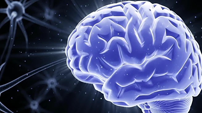 Most Common Focal Epilepsy: Mapping the "Storm" in the Brain's Center for Memory and Emotion