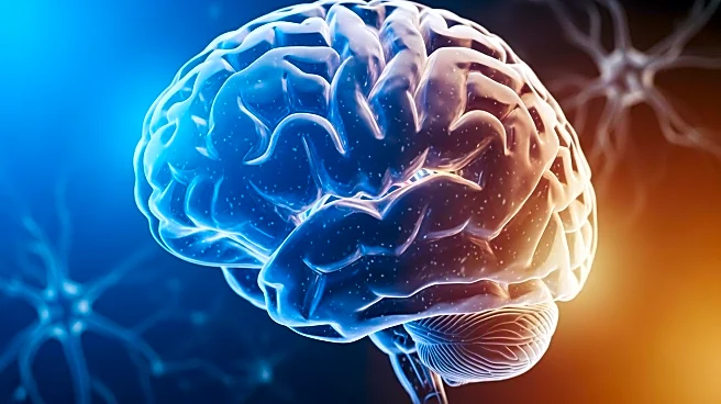 The Meaning Maker: How the Temporal Lobe Turns Sound into Language