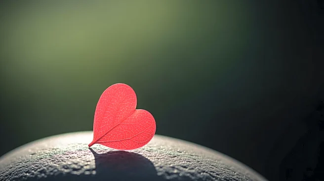 The Hidden Killer: Why Heartworm Is More Dangerous (and Harder to Find) in Cats