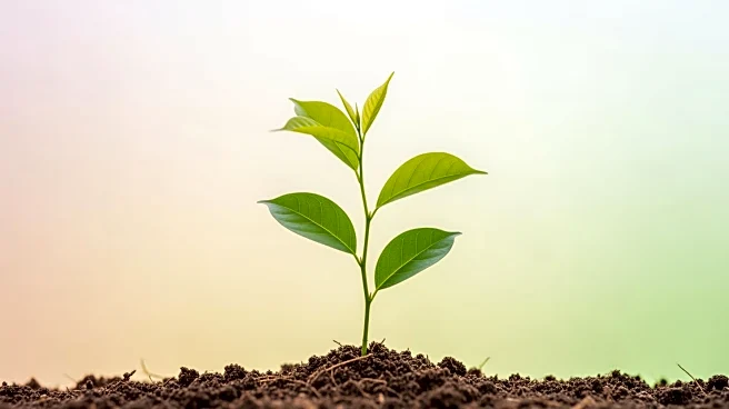 Why the U.S. President Is Legally Required to Care About Your Kid’s Health