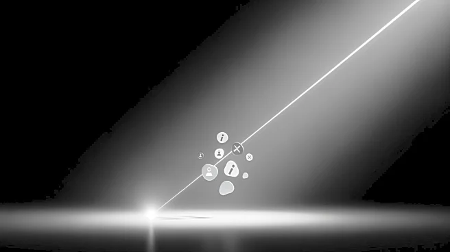 The Brain's Spotlight: How We Filter, Maintain, and Divide Our Limited Mental Energy