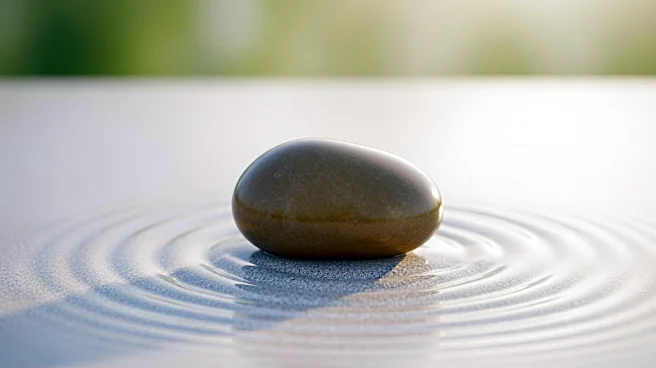 The Biological Reset: How Relaxation Techniques Actually Rewire Your Nervous System