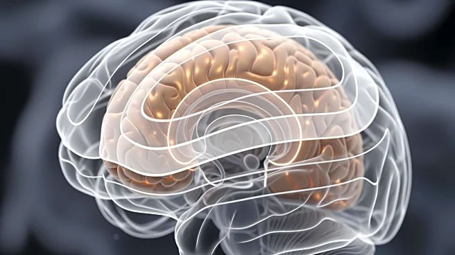 Grand Central of the Mind: Why Nothing Reaches Your Conscious Brain Without the Thalamus