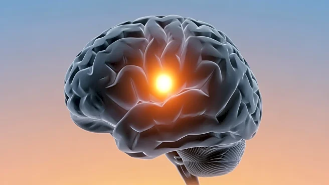 Left vs. Right: The Hidden Race Inside Your Brain’s Emotional Headquarters