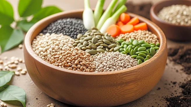 Human-Grade vs. Sustainable: The Big Dilemma in Modern Pet Nutrition