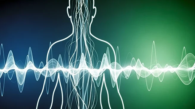 Stop Starving, Start Optimizing: Understanding the Science of Your Basal Metabolic Rate