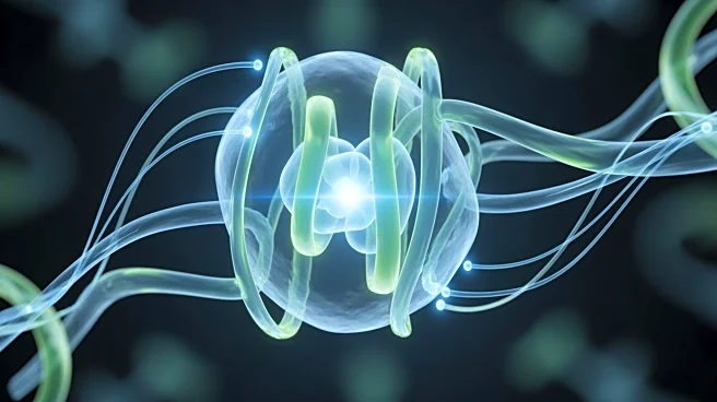 The 1,000x Speedup: How Enzymes Power the Chemistry of Life