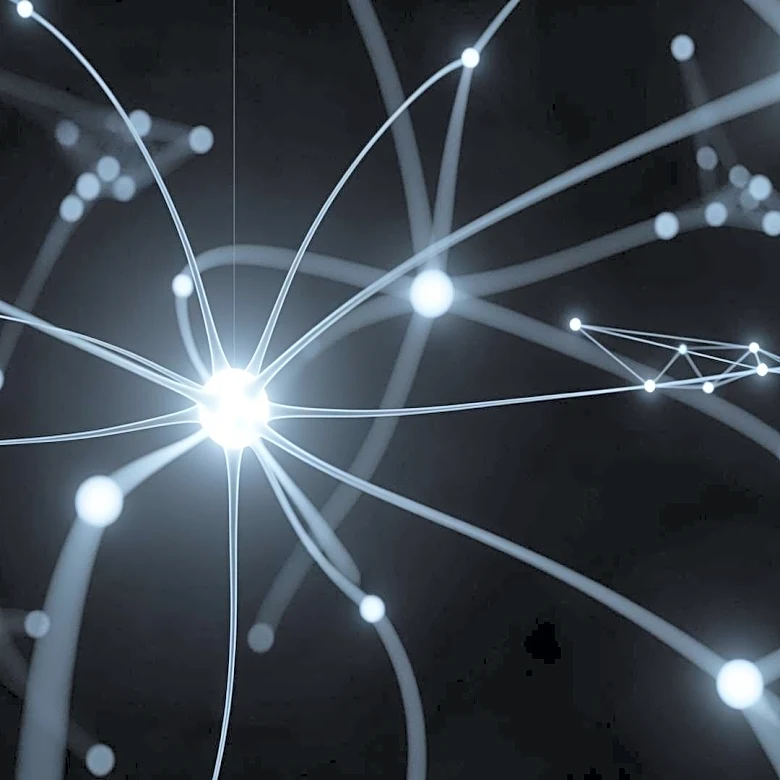 This Brain Network Helps Control Focus and Decision Making