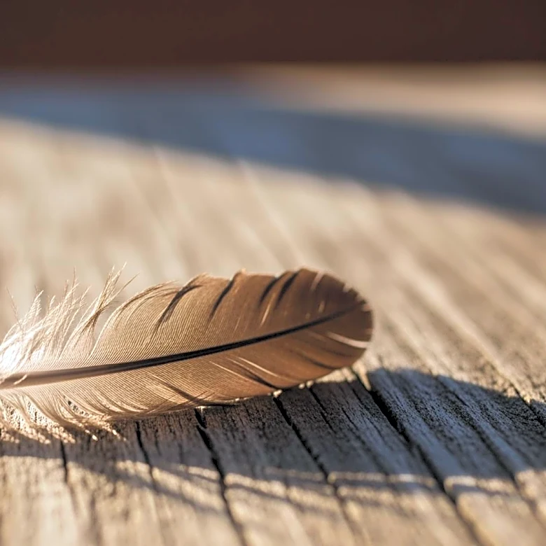 From Oscar Stage to Ongoing Controversy