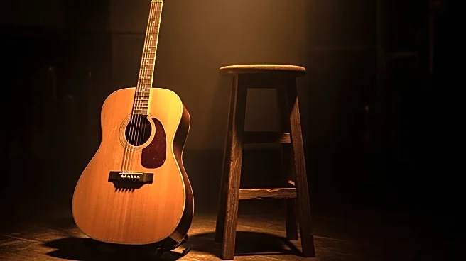 How Tracy Chapman Rose to Music Greatness