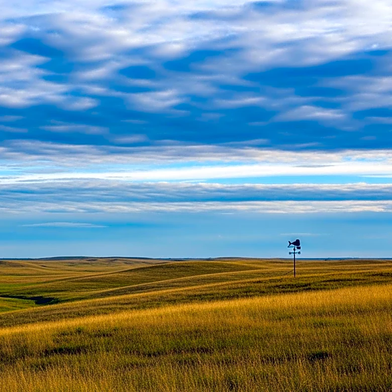 Sand, Grass, and Water: The Secret Ecosystem of Nebraska’s Massive Dune Field