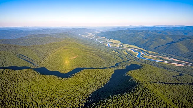 Mountains, Cities, and Coastlines: What Shapes New York State