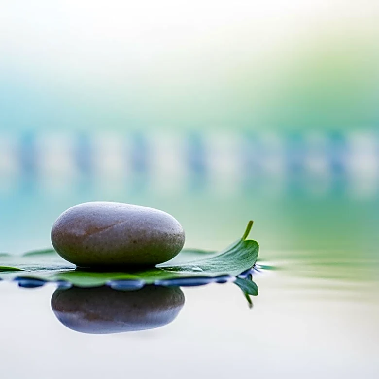 The Mindful Doctor: Why Awareness is the New Essential Tool for Healthcare Providers