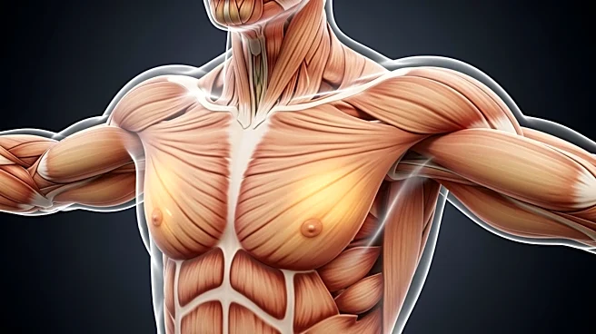 More Than a Chest Exercise: The Secret Core Science of the Perfect Push-Up