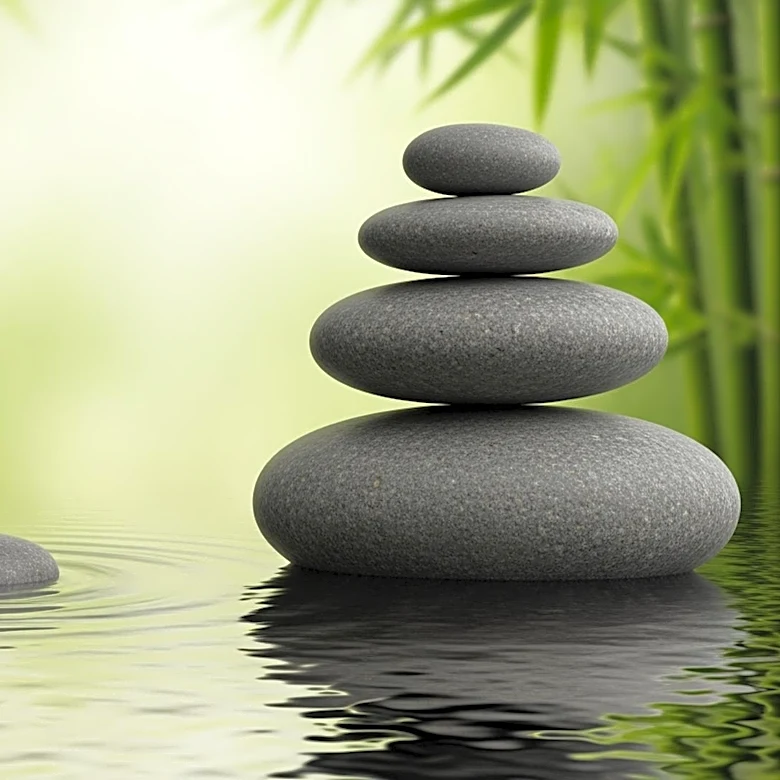 Rewiring the Brain: How Mindfulness Physically Shrinks Your "Fear Center"