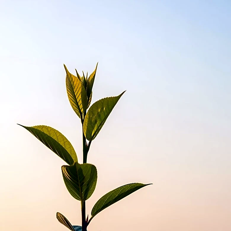 Beyond Genetics: How Nutrition and Hormones Work Together to Open and Close the "Growth Gate"