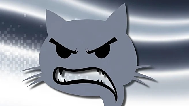 Why Grumpy Cat Became the Face of Meme Culture