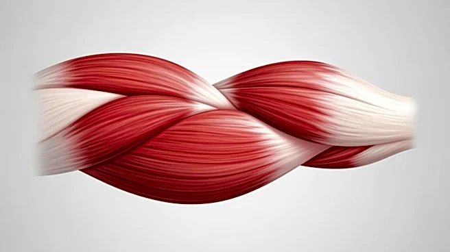 The Three-Headed Muscle That Does More Than Straighten the Arm