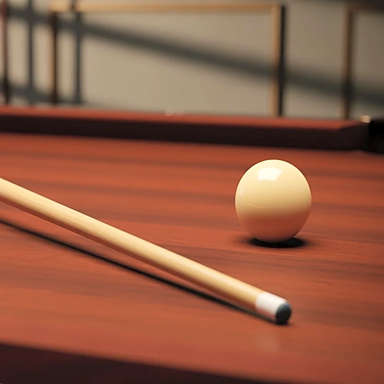 The Innovator Who Turned Billiards Skill Into a Business Empire